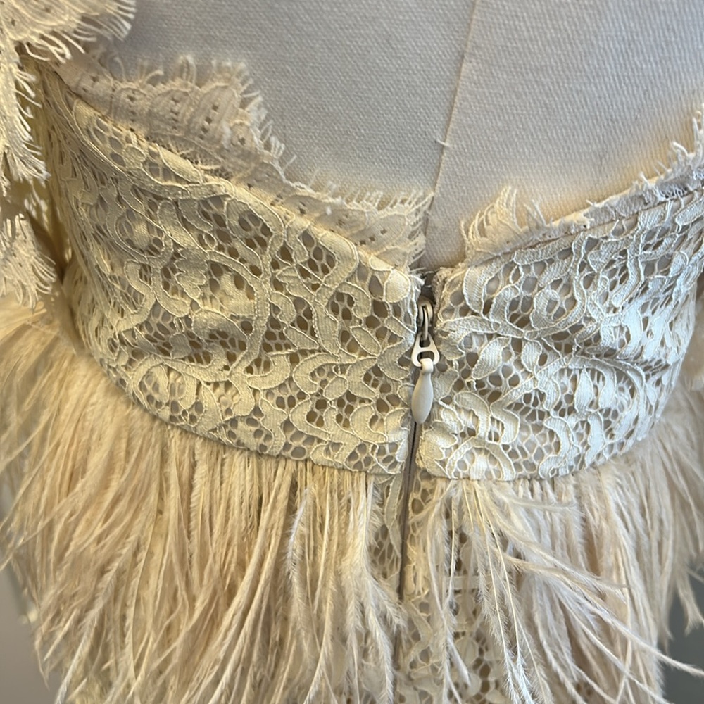 Feather and Lace Dress - Picture 7 of 14